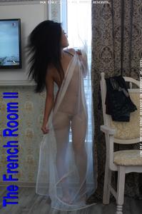 The_French_Room_II_2_20_2015