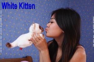 White_Kitten_12_18_2014