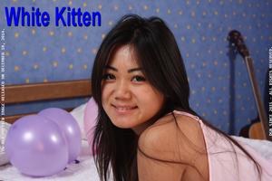 White_Kitten_12_18_2014